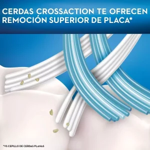 Cepillos De Dientes Cross Action / Oral-B / 8 Pack - Imagen 4