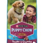Purina Perrarina Para Cachorros Carne De Res Y Arroz / 34Lb / 15.4 Kg.